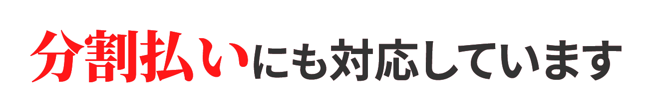 分割払いにも対応しています